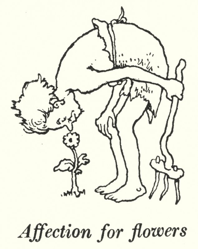 Zuneigung zu Blumen von William Heath Robinson