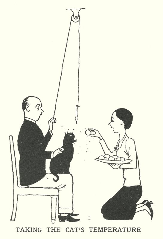 Die Temperatur der Katze messen von William Heath Robinson