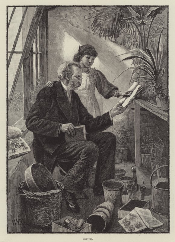 Saatzeit von William Henry Charles Groome