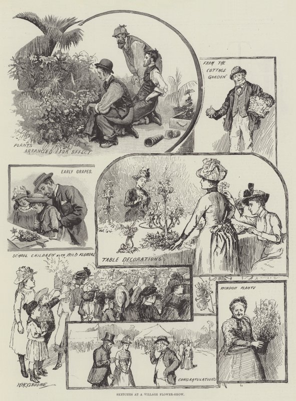 Skizzen bei einer Dorffloralshow von William Henry Charles Groome