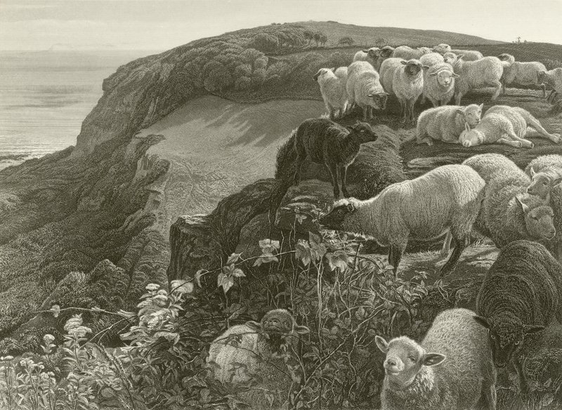 Am Hang von William Holman Hunt
