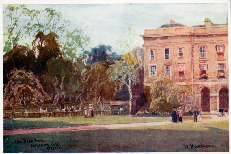 Der Hirschpark, Magdalen College, Neue Gebäude von William Matthison