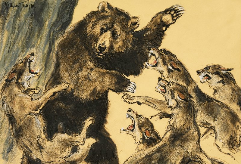 Bär kämpft gegen Wölfe von William Timyn