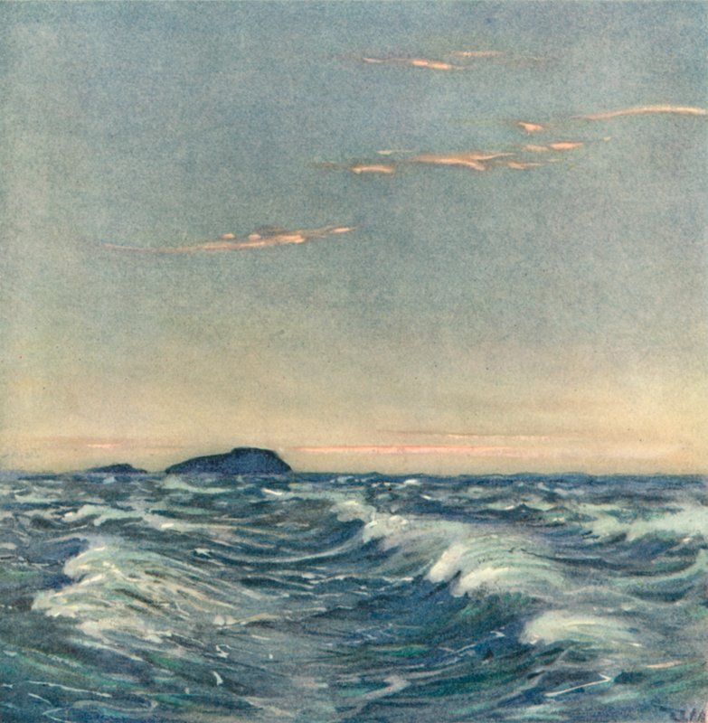 Weiße Pferde von after Donald Maxwell