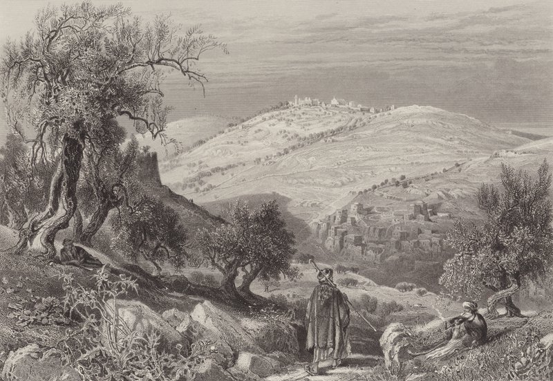 Der Aufstieg von Olivet von after Harry Fenn