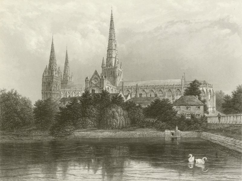 Lichfield Cathedral von Henry after Warren