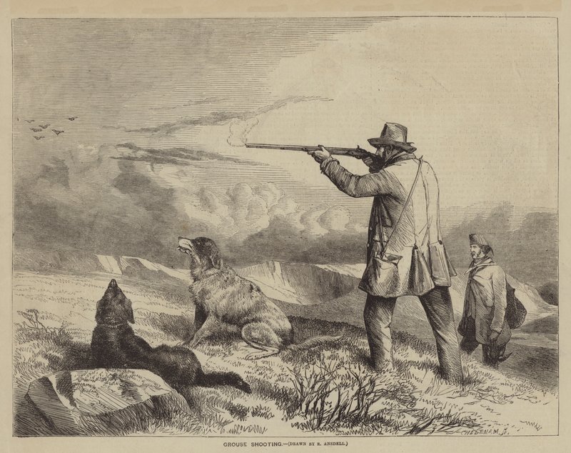Moorhuhnjagd von after Richard Ansdell